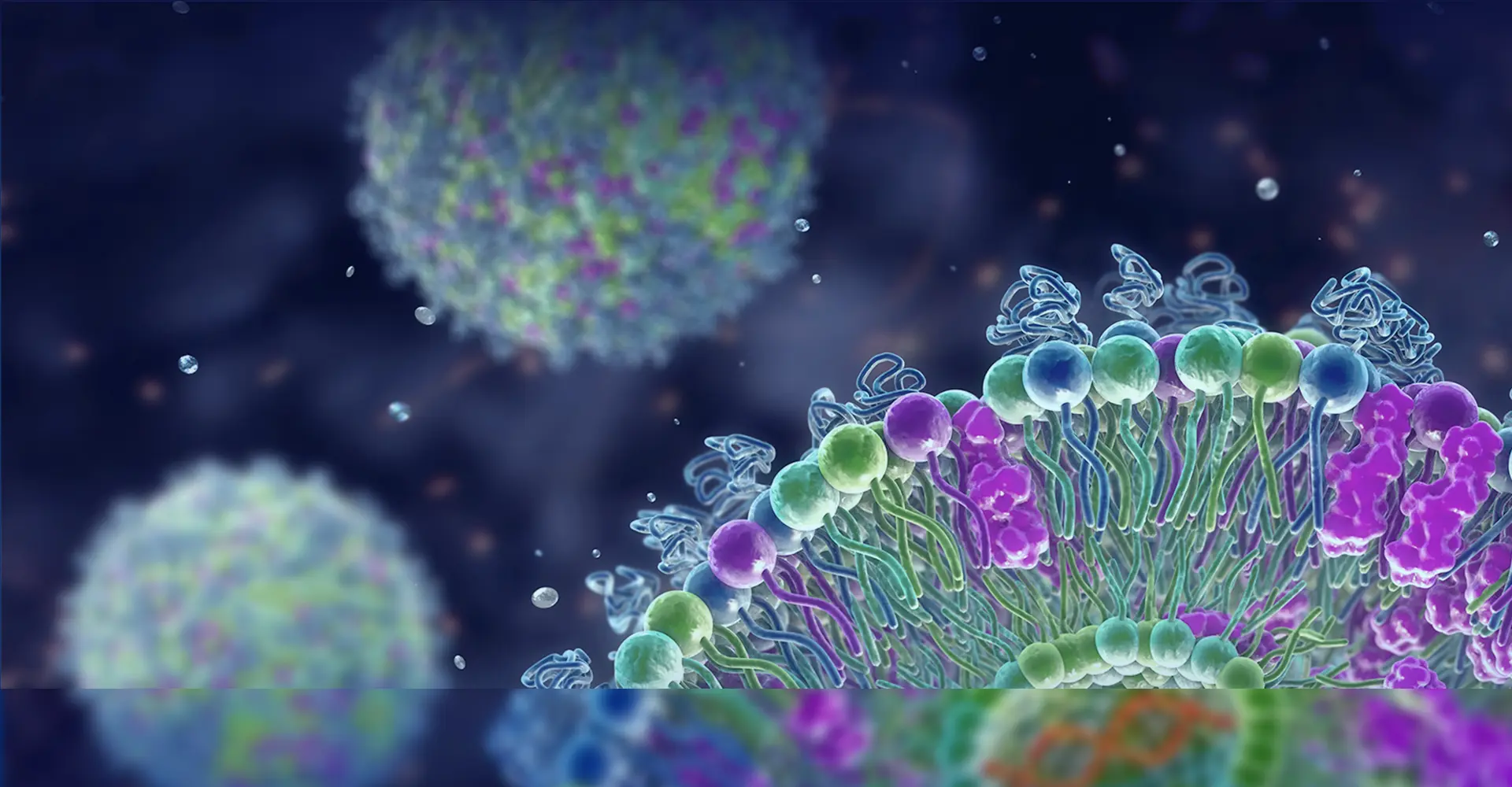 High-Throughput LNP Screening Service