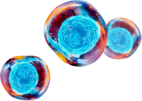 Targeted Delivery System Development