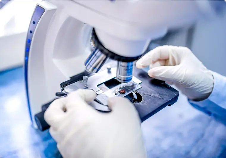 Multi-Payload Targeted Delivery