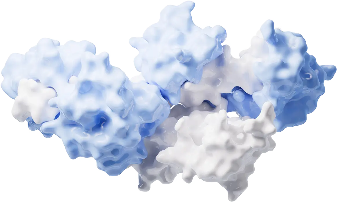 Targeted Delivery System Development