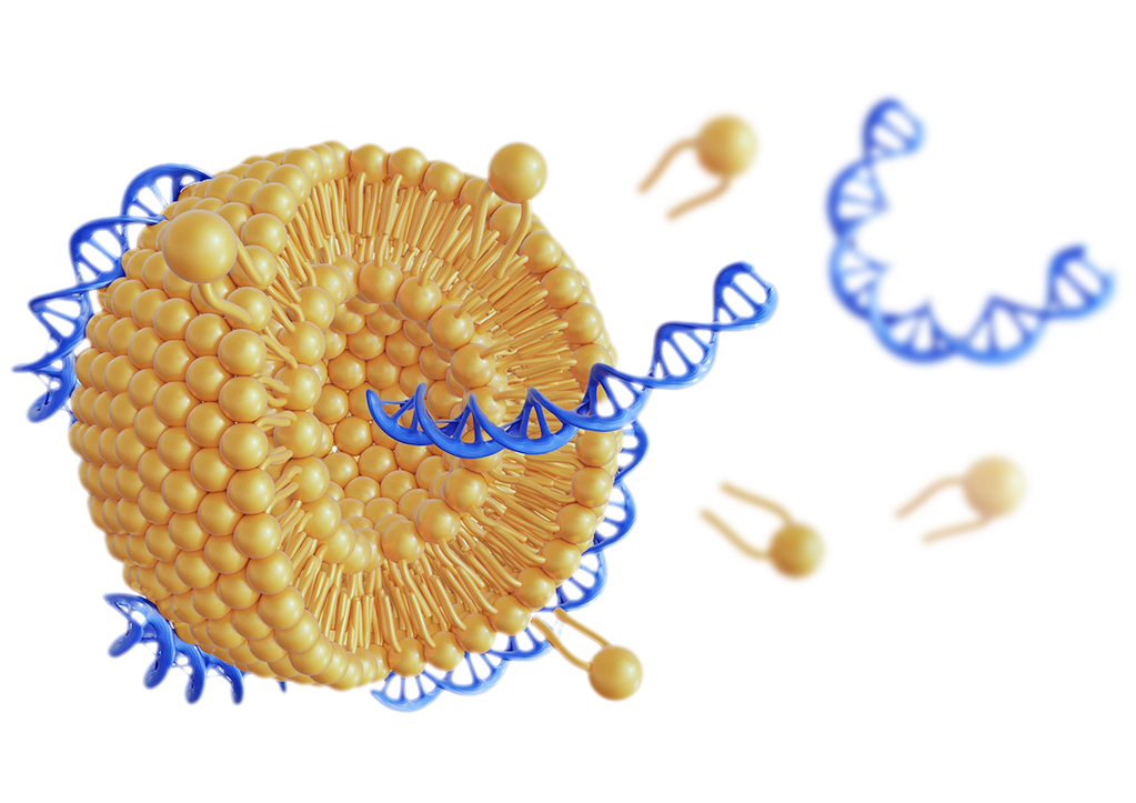 Characterization & Assay