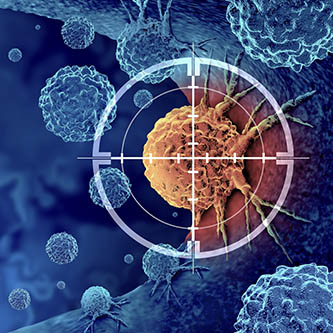 Fig.15 Targeted delivery (Creative Biolabs Authorized)