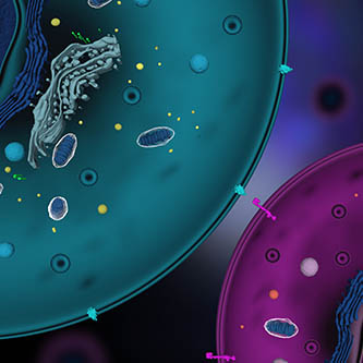 Fig.17 Targeted delivery (Creative Biolabs Authorized)