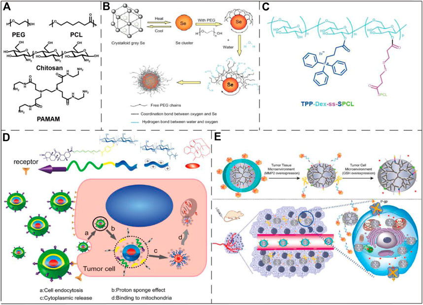 Examples of polymeric/polymer-coated nanoparticles and micelles for drug delivery to mitochondria. (OA Literature)