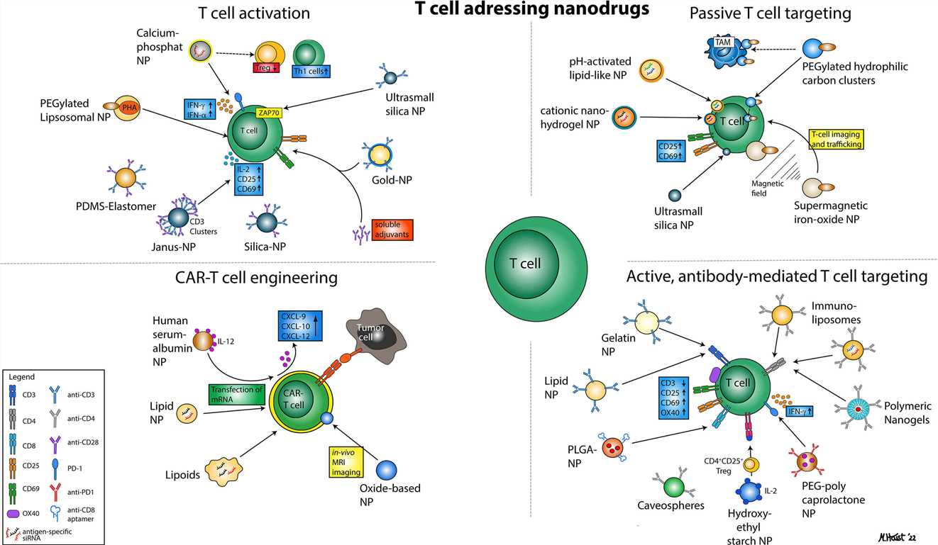 Schematic of various nanoparticular approaches to address T cells for immunotherapy. (OA Literature)