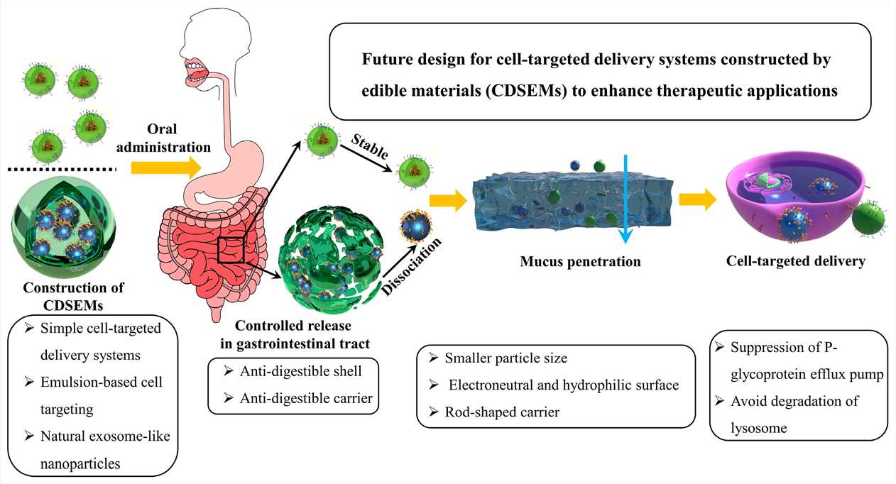 Schematic of cell-targeted delivery systems constructed of edible materials (CDSEMs) for advanced delivery. (OA Literature)