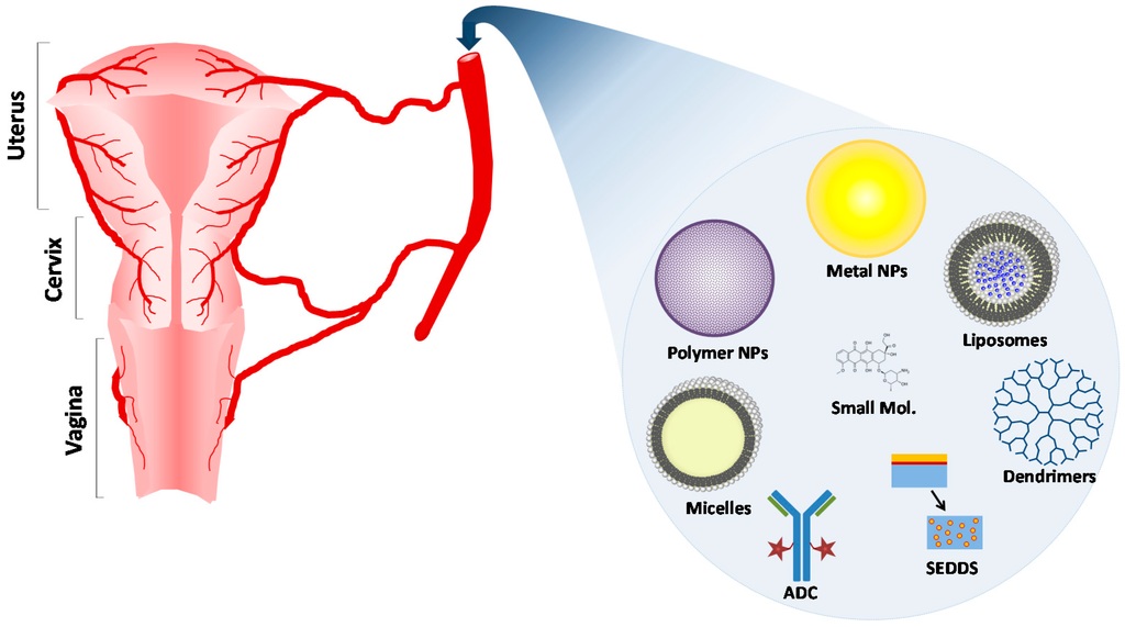 Fig 2. Potential approach of exosomes derived from mesenchymal stem cell in Cervical Cancer mellitus and diabetic complication repair. (OA Literature)