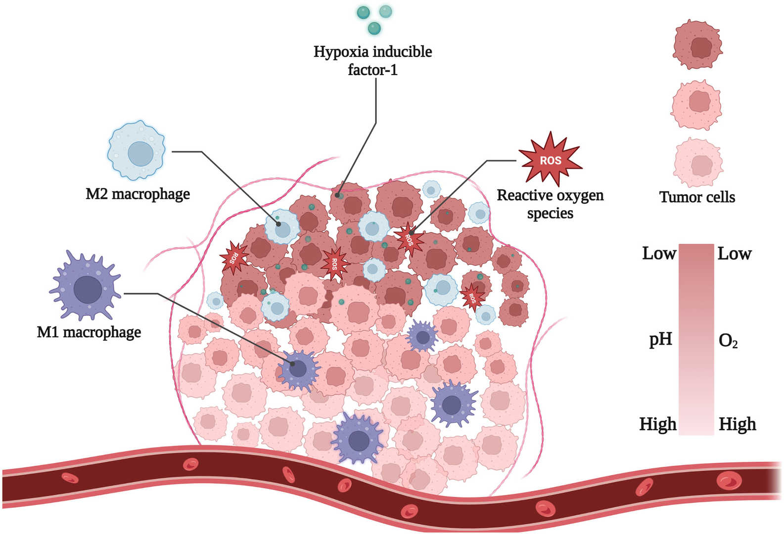 Nanomaterials for tumor imaging and therapy. (OA Literature)