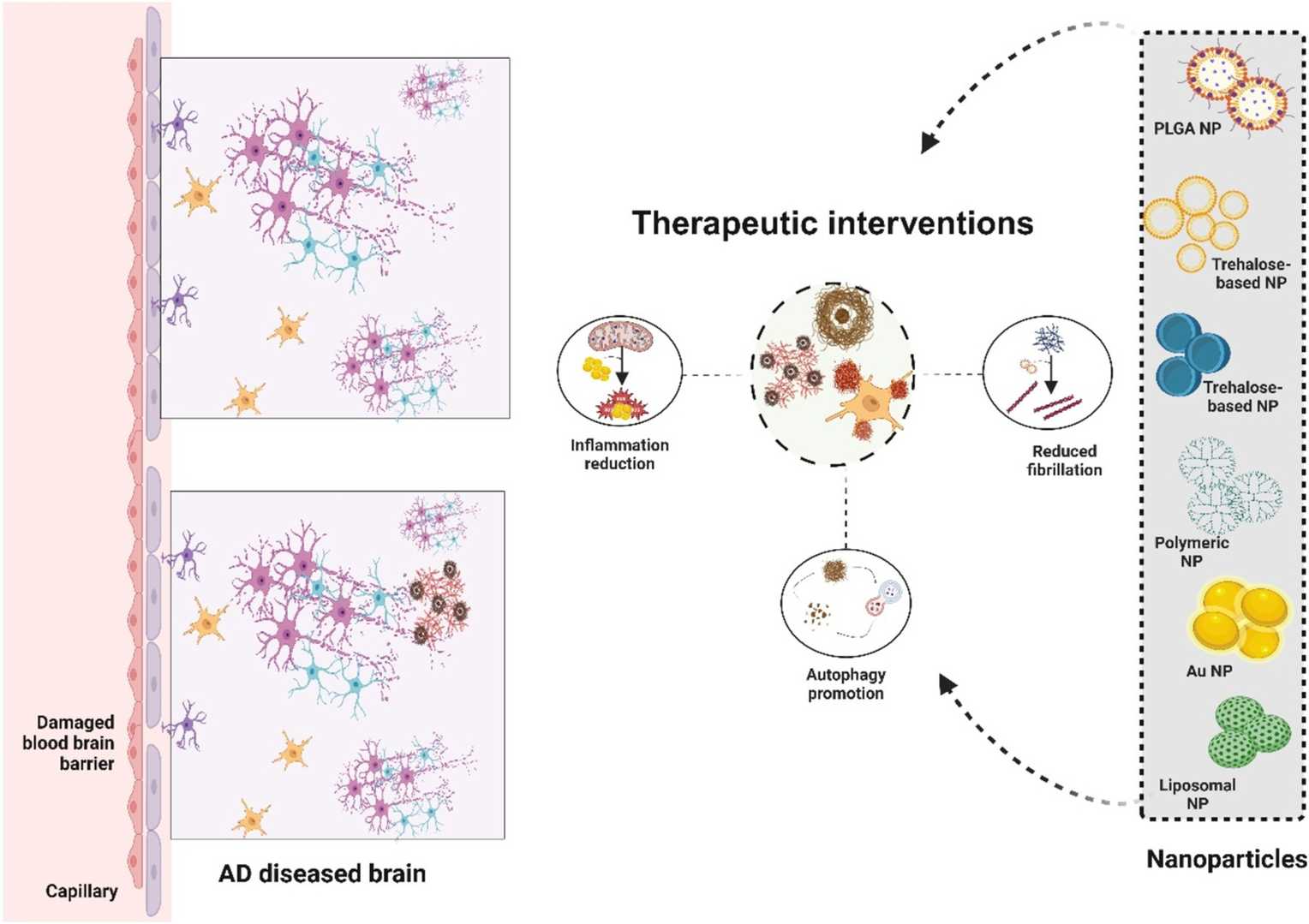 Potential nano-therapeutic strategies for Alzheimer’s disease. (OA Literature)