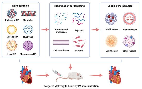 Fig.1 Illustration of nanoparticle-based drug delivery for the treatment of myocardial injuries. (OA Literature)