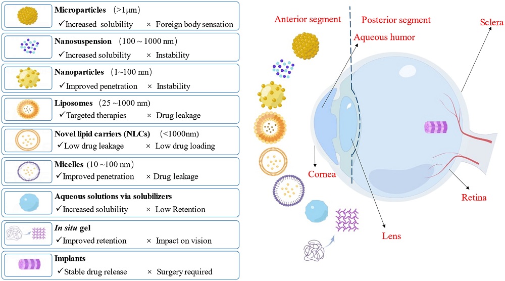 Fig.2 Schematic of targeted drug delivery in adipose tissue. (OA Literature)