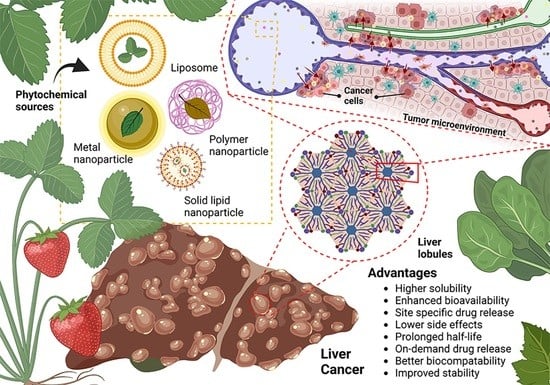Fig.1 Illustration of plant-based anticancer nanoparticles against hepatocellular carcinoma. (OA Literature)