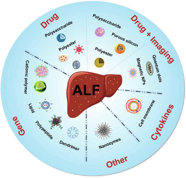 Fig 2. Schematic representation of diverse types of nanoparticles in the theranostics of liver. (OA Literature)