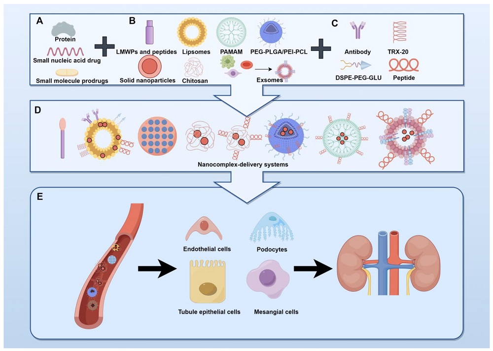 Fig.1 Illustration of nanoparticle-based drug delivery for the treatment of myocardial injuries. (OA Literature)