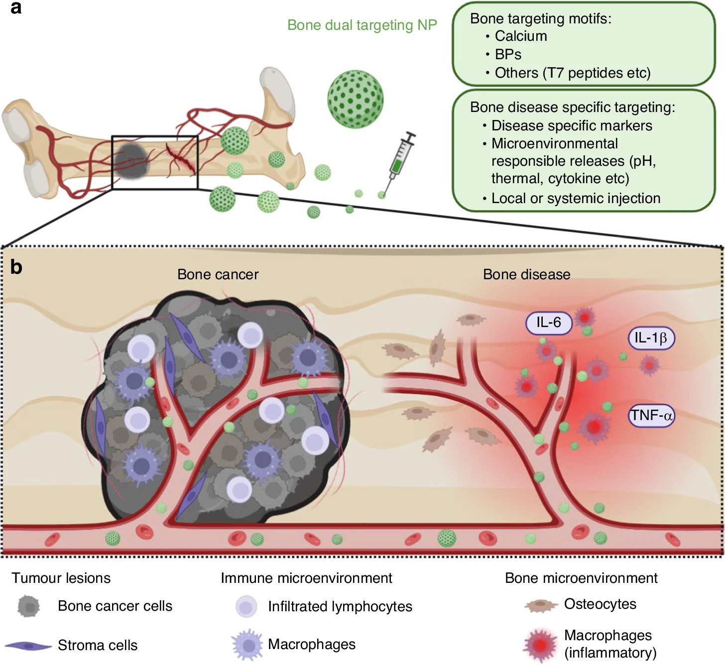 Fig 1. The reversion of DNA methylation-induced miRNA silence via biomimetic nanoparticles-mediated gene delivery. (OA Literature)