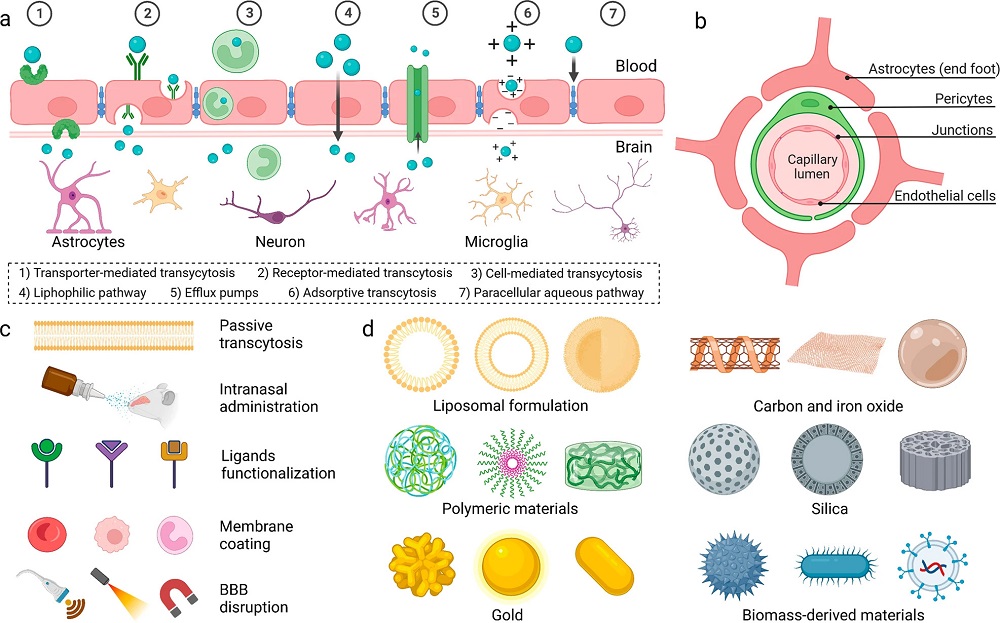 Fig.1 Illustration of nanoparticle-based drug delivery for the treatment of myocardial injuries. (OA Literature)