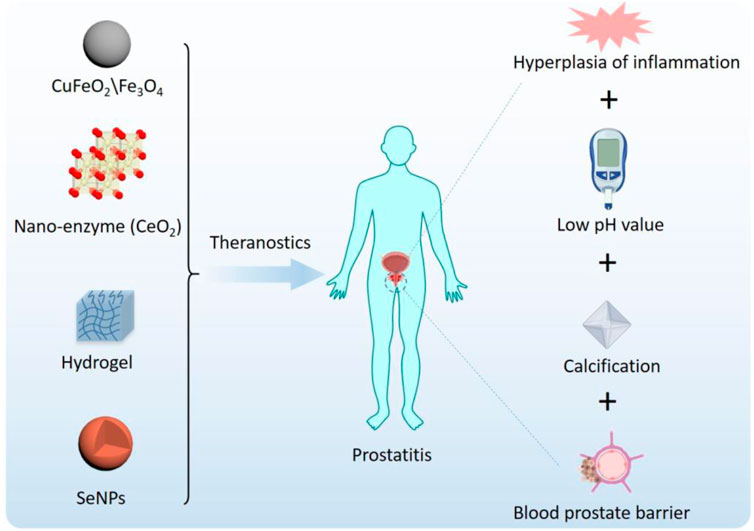 Fig.1 Illustration of nanoparticle-based drug delivery for the treatment of myocardial injuries. (OA Literature)