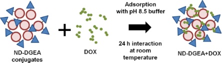 Fig.2 Schematic of targeted drug delivery in adipose tissue. (OA Literature)