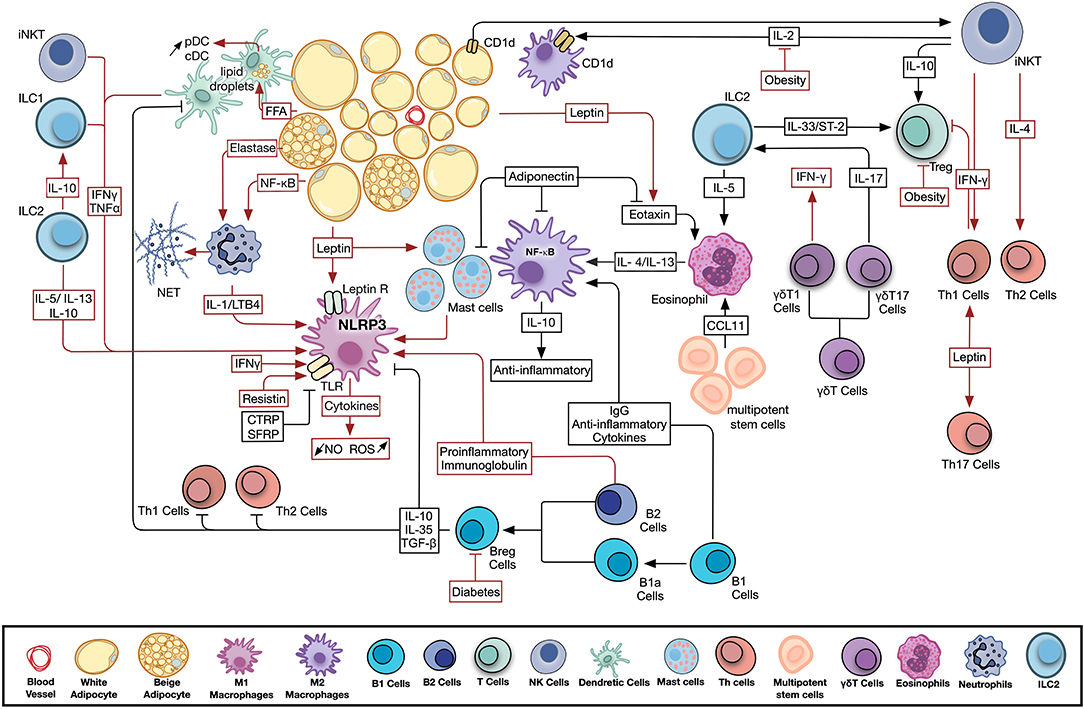 Fig.1 Illustration of nanoparticle-based drug delivery for the treatment of myocardial injuries. (OA Literature)