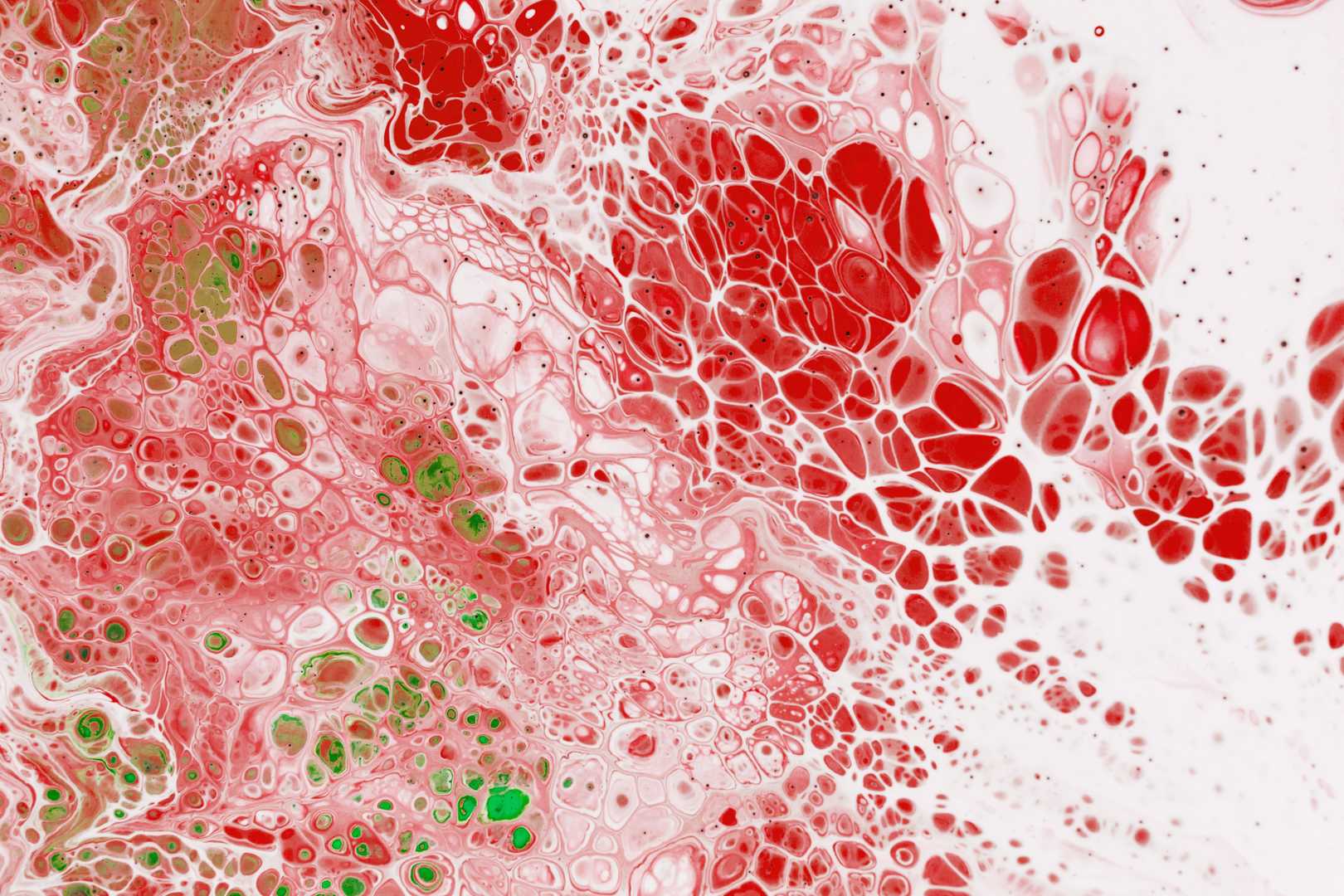 Organ/Tissue Targeting Module Development
