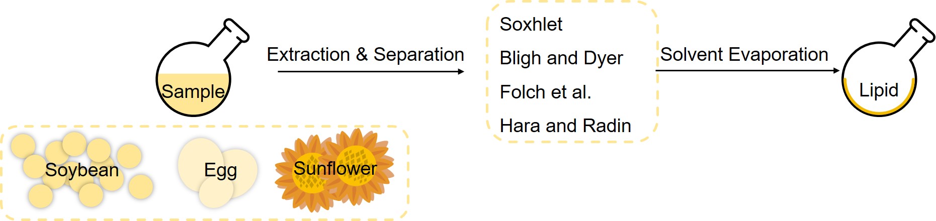 Lipid extraction service. (Creative Biolabs Original) 