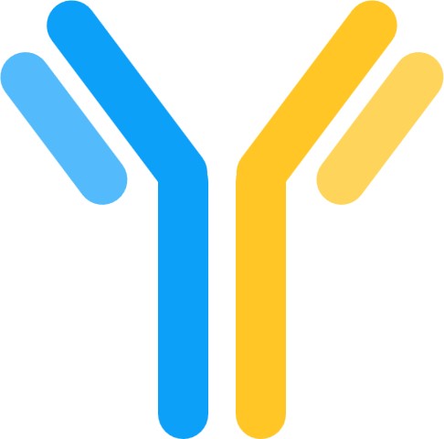 Schematic diagram of bispecific antibodies. (Creative Biolabs Original)