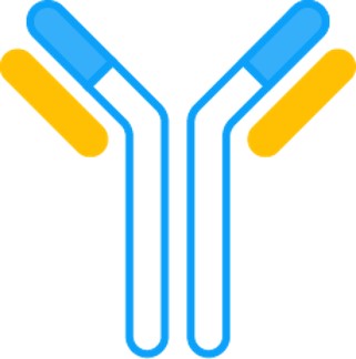 Ligand-antibody. (Creative Biolabs Original)