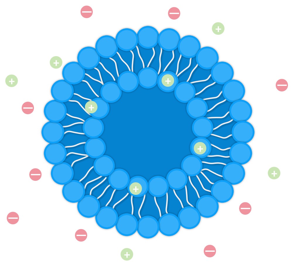 Our service -Charged Liposomes. (Creative Biolabs Original)