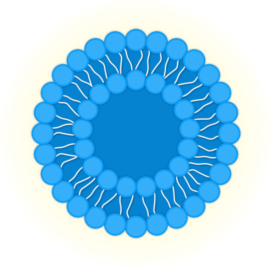 Our service -Fluorescent Liposomes. (Creative Biolabs Original)