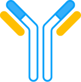 Antibody. (Creative Biolabs Original)