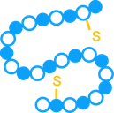 Peptide. (Creative Biolabs Original)