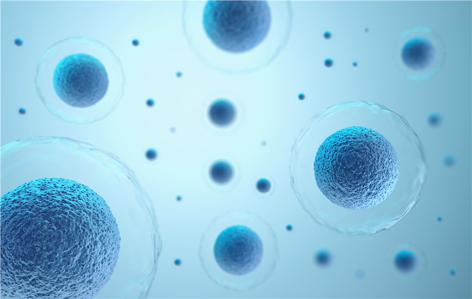 Customized biomimetic liposomes. (Creative Biolabs Authorized)