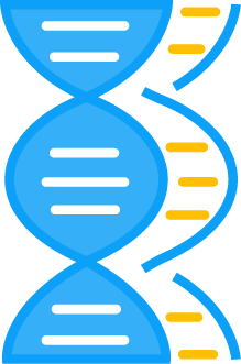 Nucleic acid delivery. (Creative Biolabs Original)