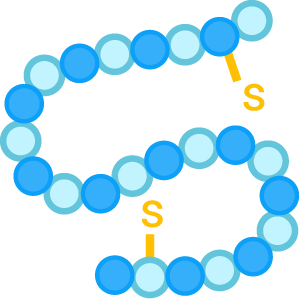 Protein delivery. (Creative Biolabs Original)