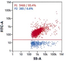 case of Targeted CD8 Ab-LNP. (Creative Biolabs Original) 