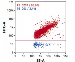 case of Targeted CD8 Ab-LNP. (Creative Biolabs Original) 