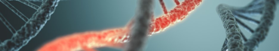 mRNA synthesis and modification services. (Creative Biolabs Authorized)