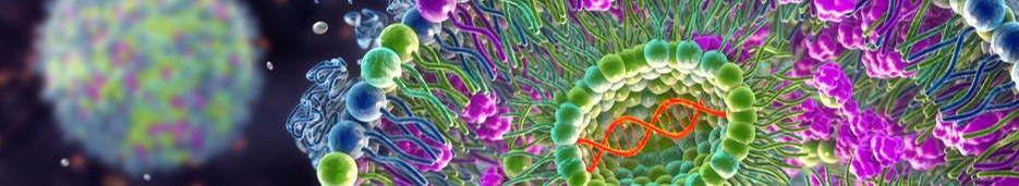 LNP development service. (Creative Biolabs Authorized)