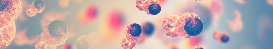 High-throughput LNP screening service. (Creative Biolabs Authorized)