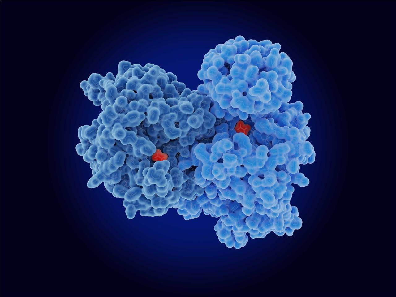 Related services - peptide synthesis. (Creative Biolabs Authorized)