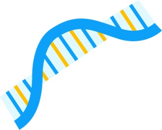 Drug- Nucleic Acids. (Creative Biolabs Original)