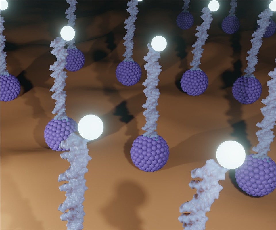 Related services - targeted module synthesis. (Creative Biolabs Authorized)