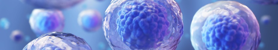 Exosome isolation and purification services. (Creative Biolabs Authorized)