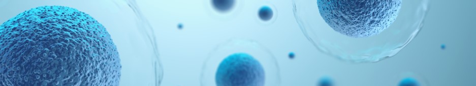 Exosome characterization services. (Creative Biolabs Authorized)