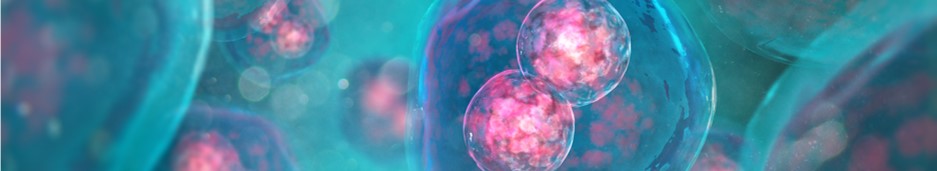 Composite hydrogel development services. (Creative Biolabs Authorized)