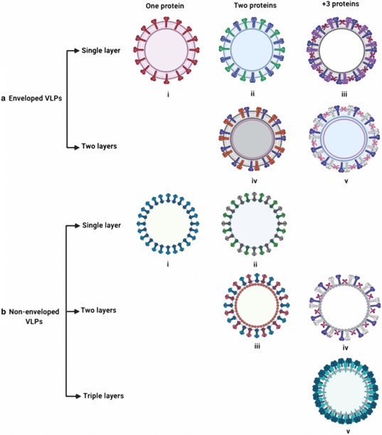 The structure of VLP. (Nooraei, Saghi, et al, 2021)(OA Literature)