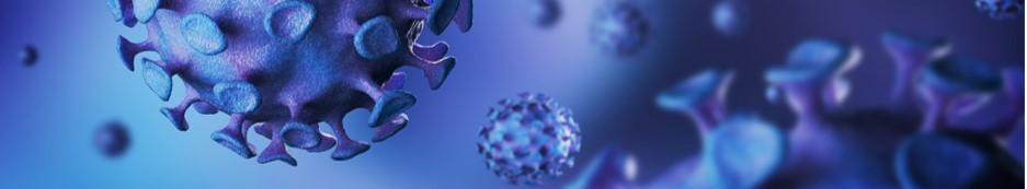 Rich VLP expression system. (Creative Biolabs Authorized)