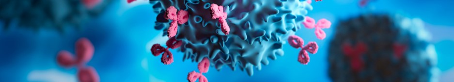 VLP functionalized services. (Creative Biolabs Authorized)