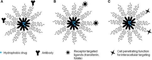 Active targeting based on surface functionalization. (Jhaveri, Aditi M., and Vladimir P. Torchilin, 2014) (OA Literature)