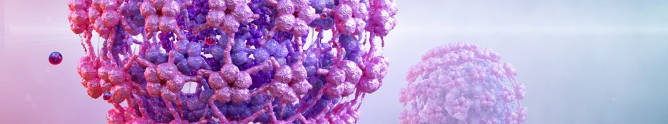 Payload encapsulation service. (Creative Biolabs Authorized)